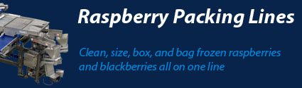 Raspberry Packing Equipment