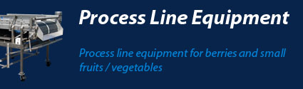 Processing Equipment for Blueberries