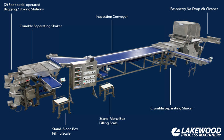 Raspberry Packing Line Icon 1